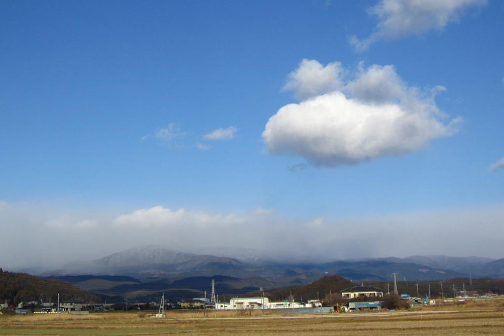 鳥観に終わり鳥観に始まる。。。_e0118274_1752233.jpg