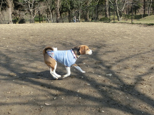 a0319693_917240.jpg