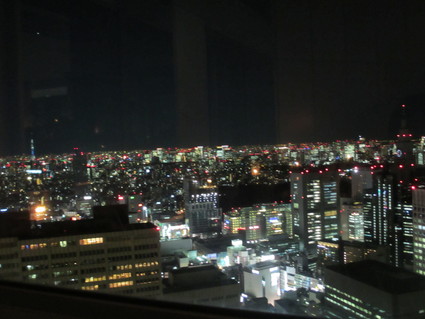 WM 30年の総括@Good View Tokyo（都庁45F）_c0212604_23245570.jpg