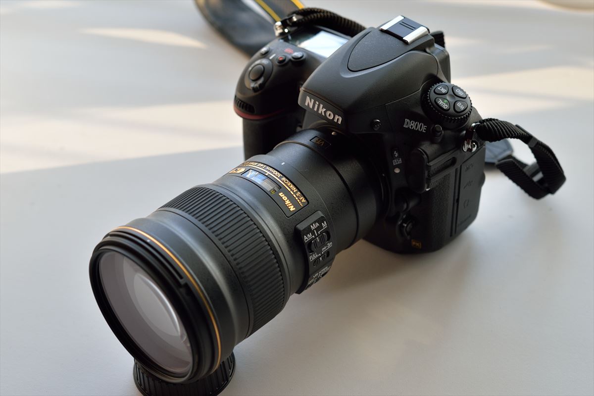 Nikon - sugashi　Nikon サンヨン+テレコン ニコン新型サンヨンを試す！ その1 ～ファースト