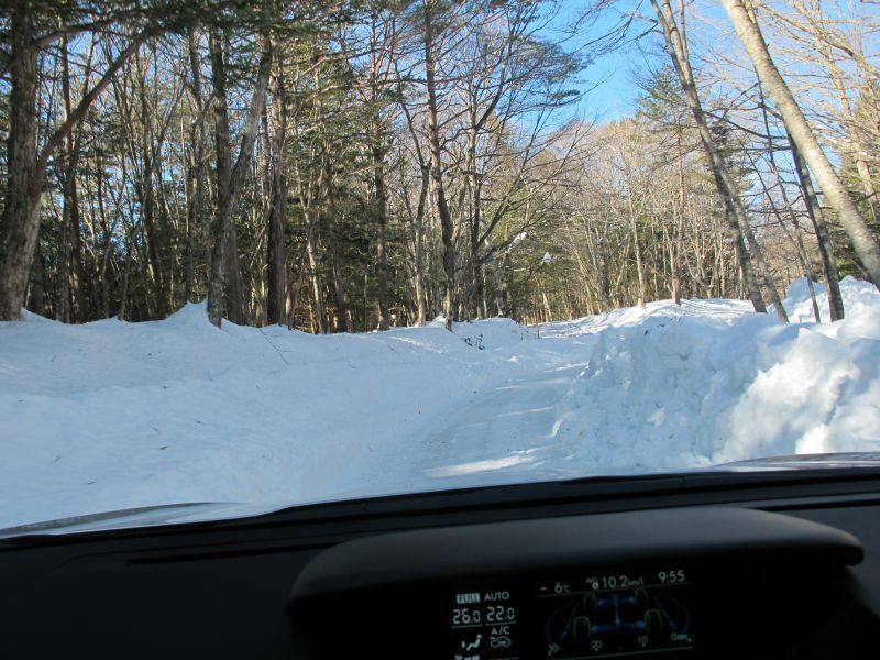 f0076731_19245201.jpg