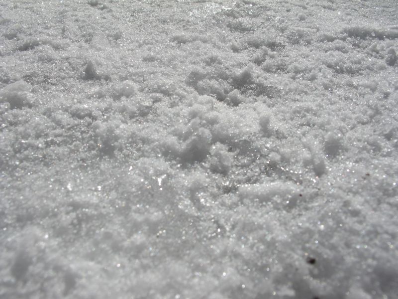 f0076731_19273570.jpg