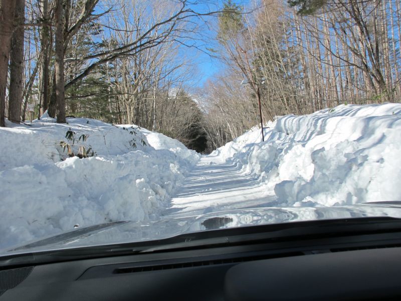 f0076731_19522210.jpg