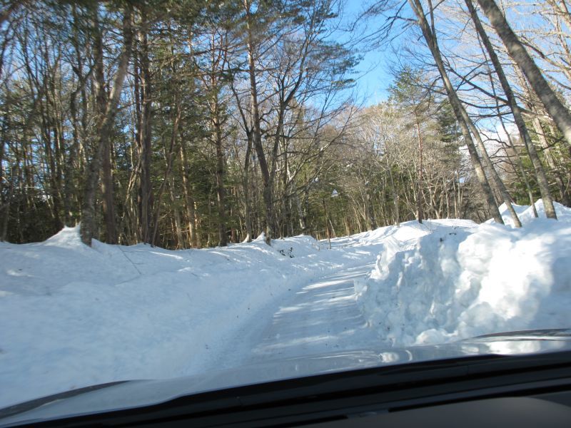 2015年型 FORESTER 6速手動変速機で雪上走行_f0076731_19543015.jpg