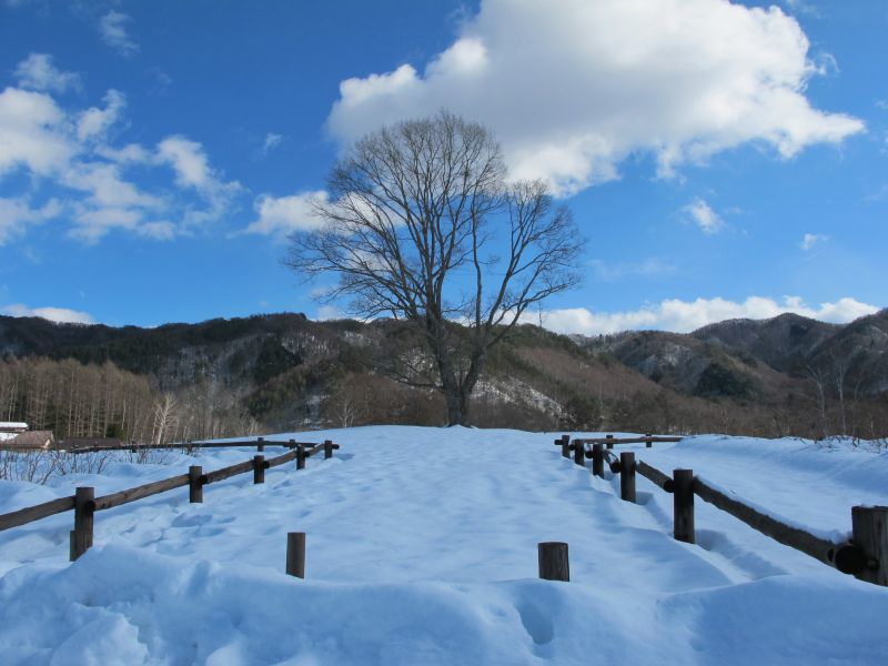 f0076731_19583284.jpg