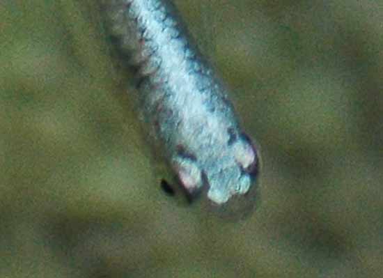 e0097534_17103698.jpg