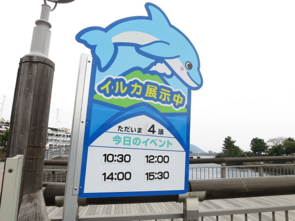 鹿児島水族館水路奥工事中_c0312836_15382047.jpg