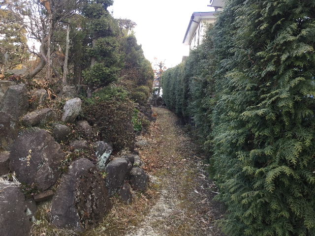 現場確認_f0031037_18432918.jpg