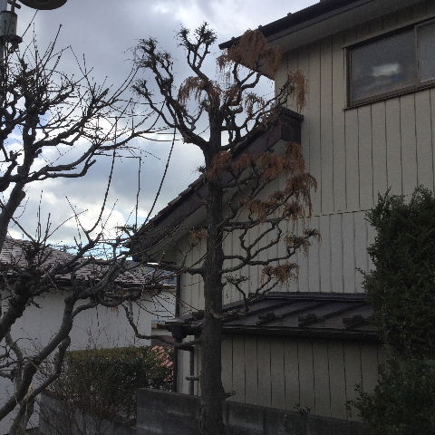 現場確認_f0031037_18441885.jpg