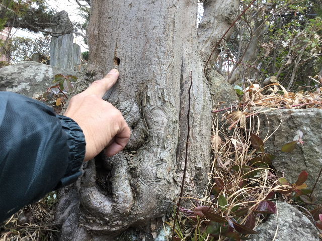 現場確認_f0031037_18442483.jpg