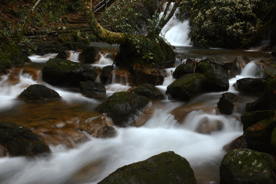 c0093046_89179.gif