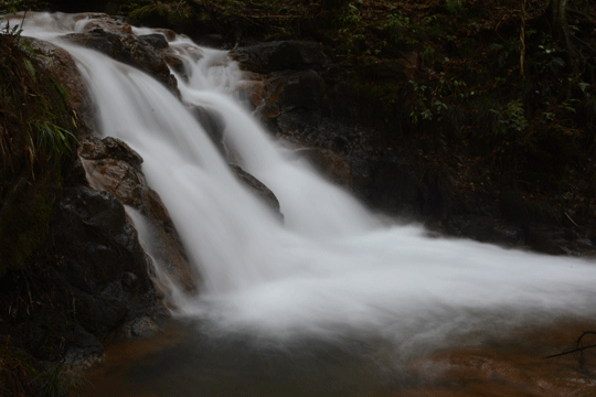 c0093046_894041.gif