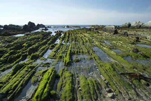 根本海岸_c0153446_20254029.jpg