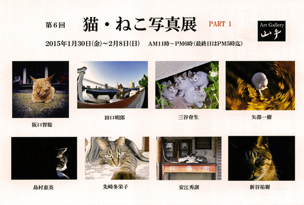 第6回 猫・ねこ写真展 Part 1　Art Gallery 山手　残る会期はあと二日です　ピンホール写真_f0117059_19214349.jpg