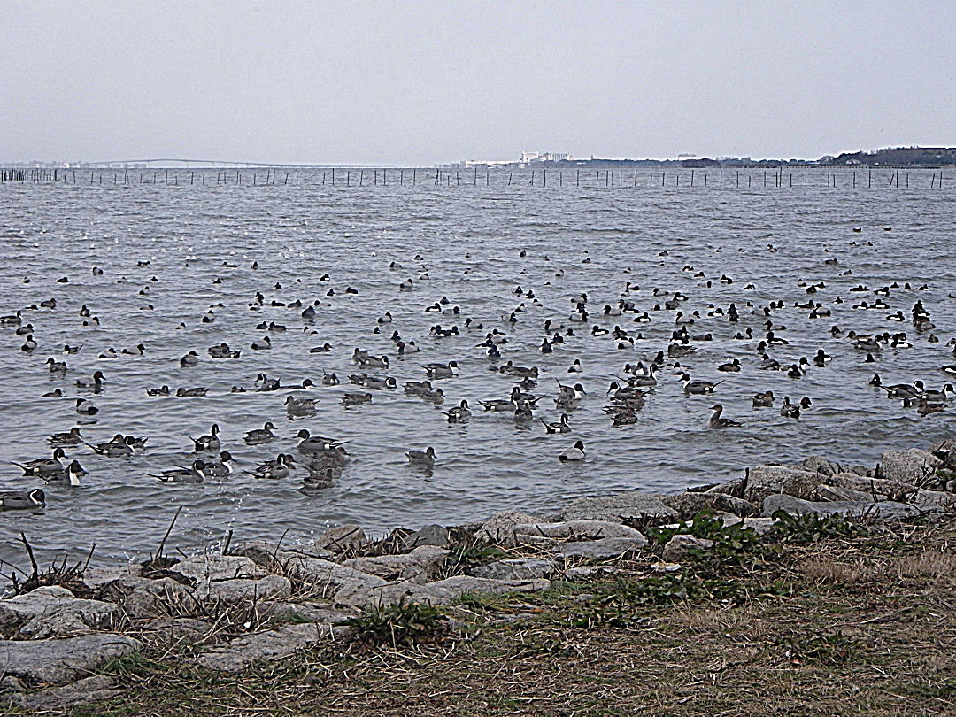f0156359_21285869.jpg