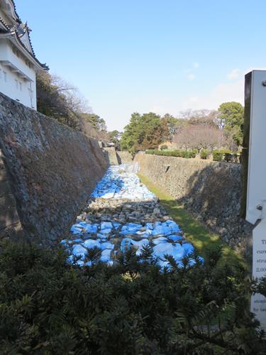 【名古屋2015】⑩金鯱輝く名古屋城_c0042960_05158.jpg