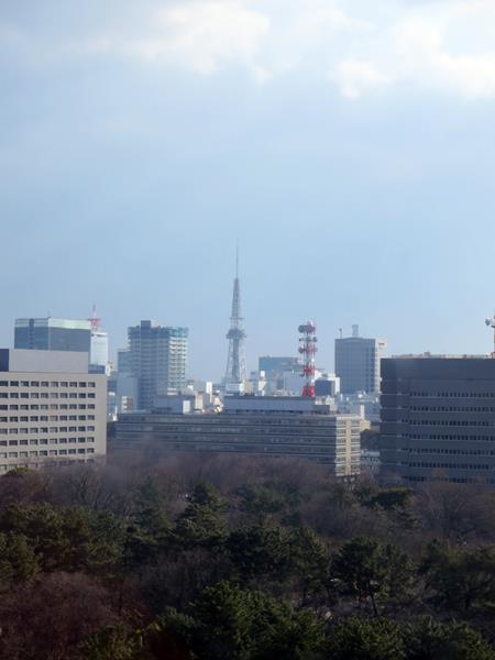 【名古屋2015】⑩金鯱輝く名古屋城_c0042960_084451.jpg