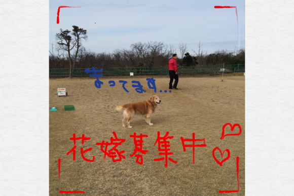 a0040978_15202392.png