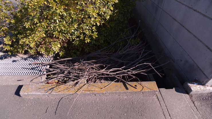 c0212083_20584734.jpg