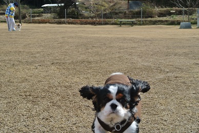 e0121583_20121549.jpg