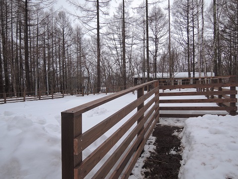 野辺山M川さん邸の現場より 13_a0211886_1543021.jpg