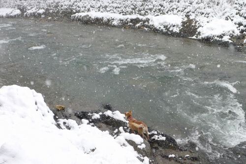 b0226089_20565537.jpg