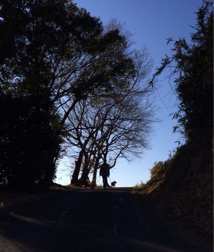 c0094999_3101318.jpg