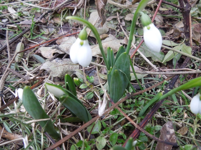 f0297809_0161556.jpg