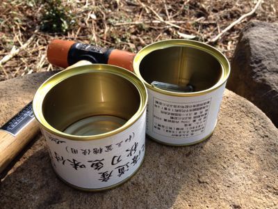 手作りおもちゃと四十肩_a0300410_8361479.jpg