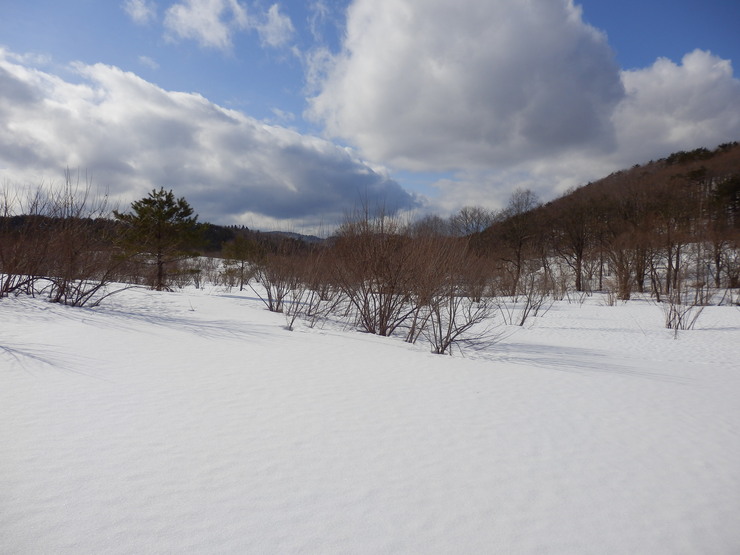 f0219710_8111259.jpg