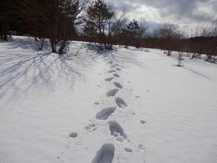 f0219710_8114962.jpg