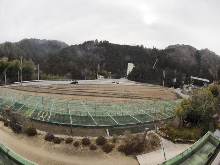 霜の朝_c0116915_005393.jpg
