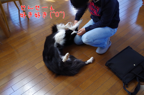a0232619_1654144.png