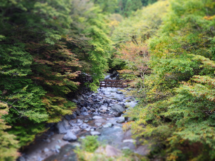 b0244424_23493378.jpg