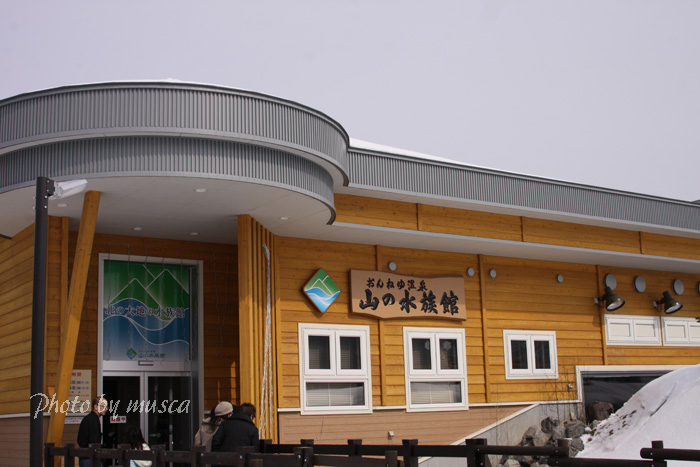 2014年3月　山の水族館_b0024125_13102622.jpg