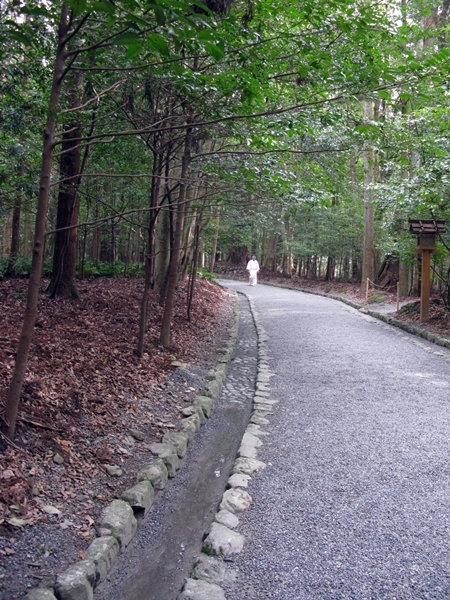 寒中・稲荷めぐりで神宮の森へ!_f0129726_21545637.jpg