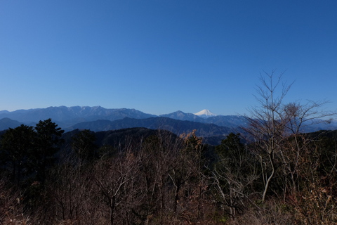 b0281732_8272649.jpg