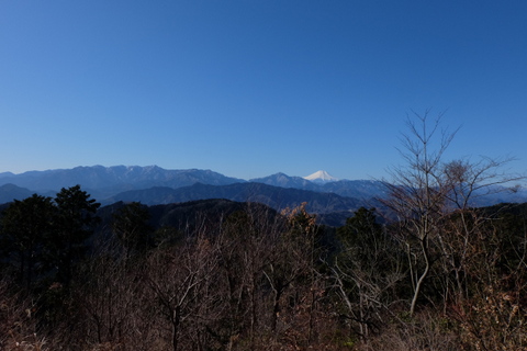 ゆる〜り高尾山から小仏峠　〜1月18日(日)〜　その①_b0281732_8272649.jpg