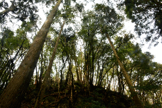 c0093046_1439020.gif