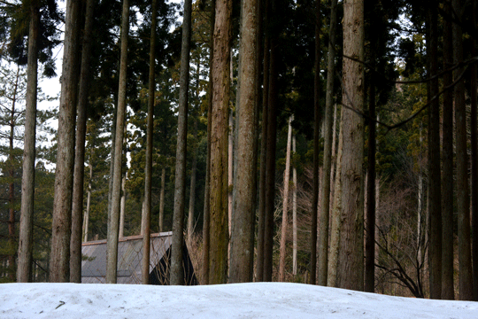c0093046_14394398.gif