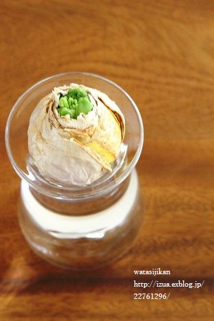 さこうさんのヒヤシンス用水栽培ポット_e0214646_98211.jpg