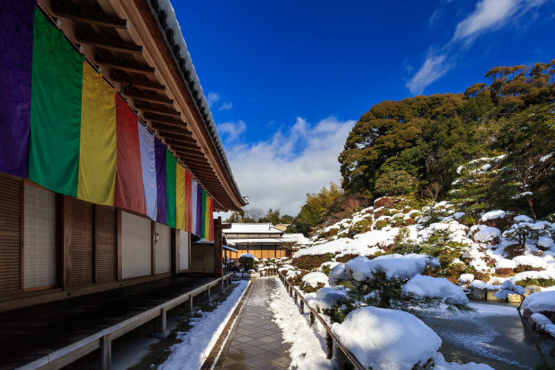 雪景色・智積院_f0155048_2224453.jpg