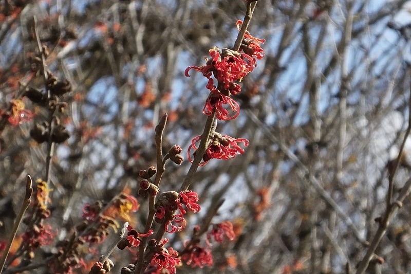 b0236251_13453137.jpg