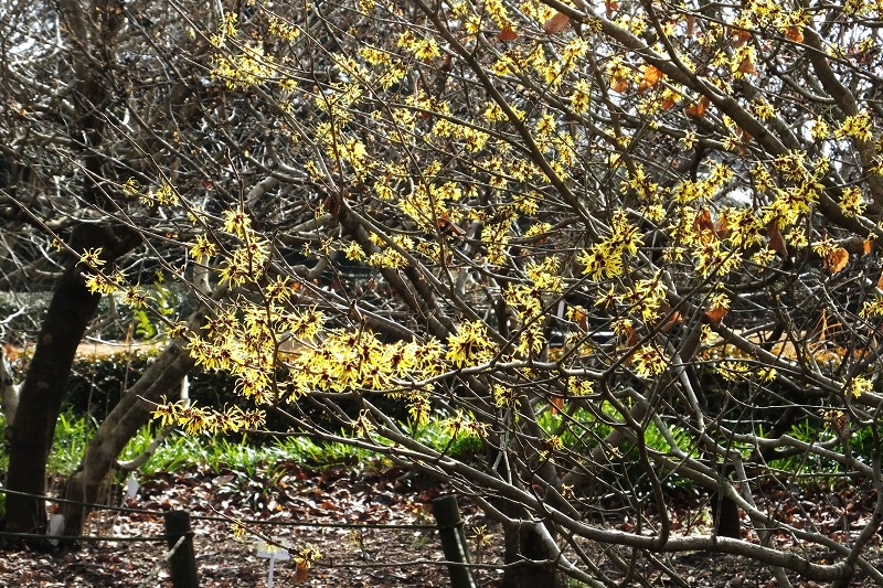 b0236251_13474866.jpg