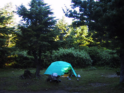 b0087456_105231.jpg