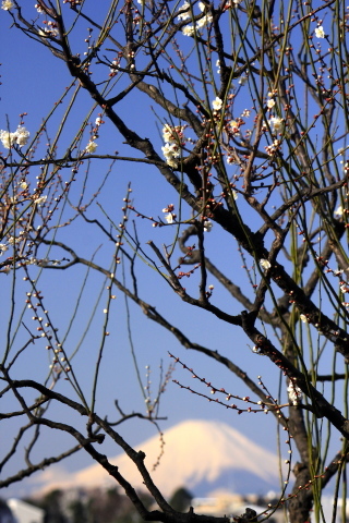 a0248459_18521139.jpg