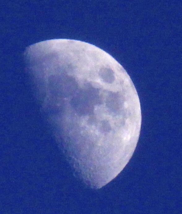 a0248459_18534326.jpg