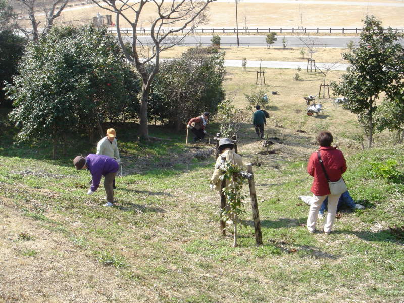 せんなん里海公園内各所へ植樹・・・うみべの森を育てる会_c0108460_21242149.jpg