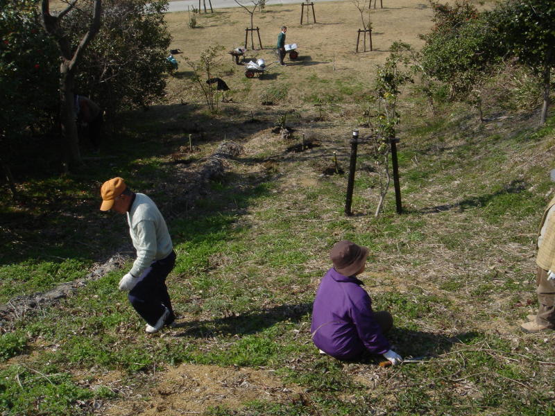 せんなん里海公園内各所へ植樹・・・うみべの森を育てる会_c0108460_21311300.jpg