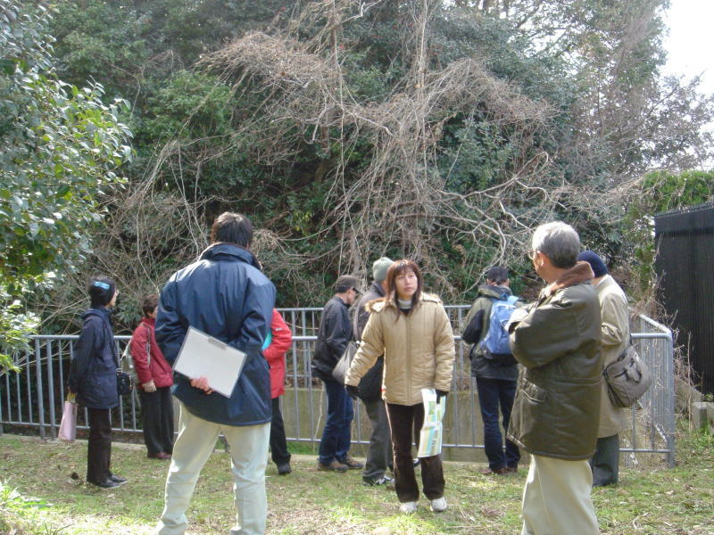 せんなん公園内の陸カニ生息場所の案内・・・うみべの森を育てる会_c0108460_21451356.jpg